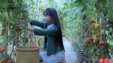 Li Ziqi (vlogger) .